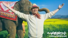 《我的宠物是大象》剧情简介《我的宠物是大象》评价怎么样？