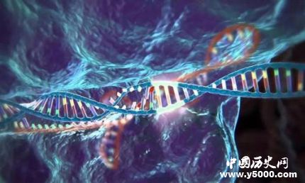 宇航员DNA发生永久突变 DNA突变的意义有哪些？