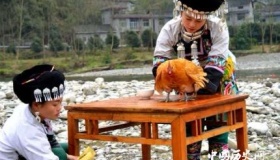 湘西定鸡术究竟是什么法术？