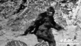 神农架野人之谜 神农架真的有野人吗？