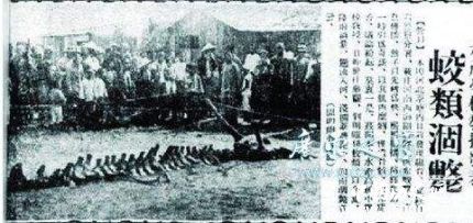 1944年松花江坠龙事件 龙真的存在吗？