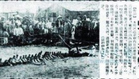 1944年松花江坠龙事件 龙真的存在吗？