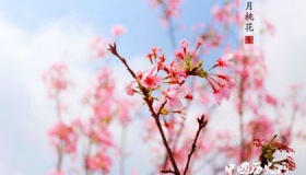 四月的诗词收录 诗词中的四月是怎样的？