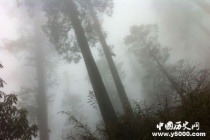 瓦屋山迷魂凼之谜：瓦屋山迷魂凼的真相