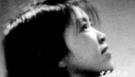 林昭生平经历-如何评价林昭？