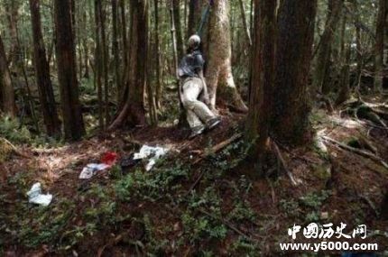 日本自杀森林之谜-日本自杀森林在哪儿？