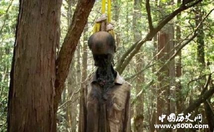 日本自杀森林之谜-日本自杀森林在哪儿？