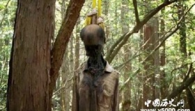 日本自杀森林之谜-日本自杀森林在哪儿？