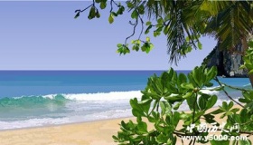 描写五月的诗词都有哪些？