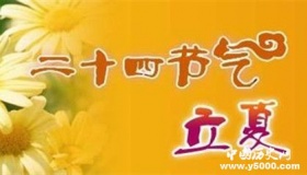 今日立夏 关于立夏的谚语有哪些？