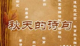 关于秋天的诗词都有哪些？