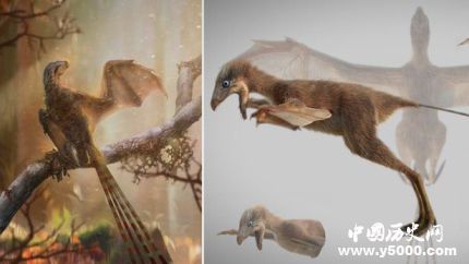 发现膜质翅膀恐龙_膜质翅膀恐龙的发现有什么意义