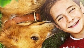 一条狗的使命2上映时间剧情好看吗