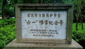 武大六一惨案历史经过和历史影响