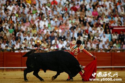 西班牙斗牛简介_西班牙斗牛的历史有多久了_中国历史网