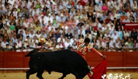 关于西班牙斗牛的历史和来源你知道多少