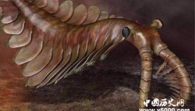 奇虾的形状特征 奇虾是怎样称霸寒武纪的