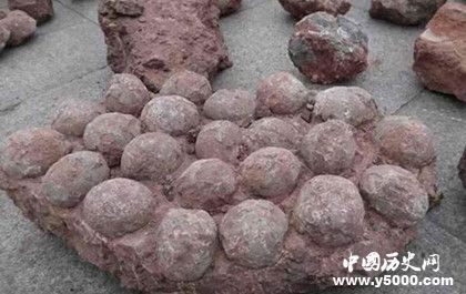 恐龙蛋化石分布在哪里_恐龙蛋化石保存现状_中国历史网