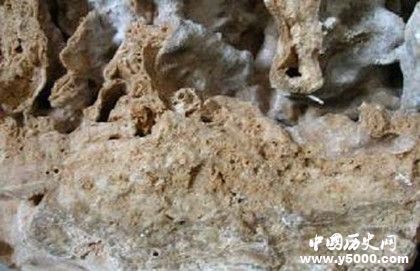 化学化石的特征_化学化石的研究意义_中国历史网