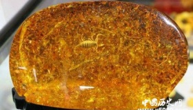 琥珀的形成方式 关于琥珀有哪些历史传说