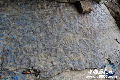 遗迹化石的特征_遗迹化石的研究价值_中国历史网