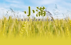 小满节气养生 小满饮食风俗
