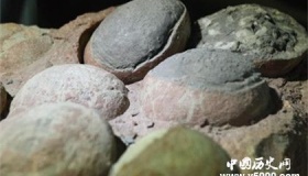 恐龙蛋的形态结构 恐龙蛋被产下的过程