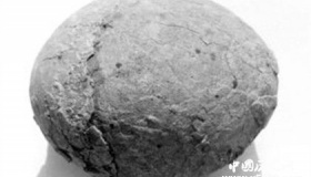 恐龙蛋化石保存现状 恐龙蛋化石分布在哪里