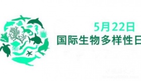 历史上的今天5月22日事件