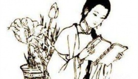 王贞仪——仰望星空的古代女科学家