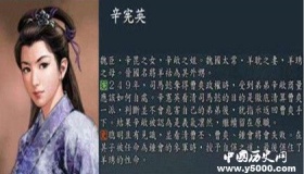 辛宪英的生平经历 怎样评价辛宪英