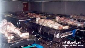 1947年罗斯威尔事件究竟是真是假