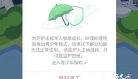 B站宣布上线青少年模式：冻结部分功能