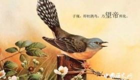 望帝啼鹃传说故事是怎样的