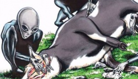 骇人听闻的外星人屠牛事件