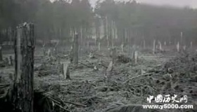 1994年贵阳空中怪车事件 外星人还是龙