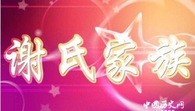 陈郡谢氏家族相关的典故