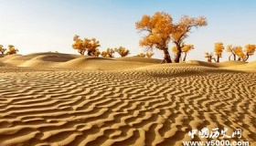 荒漠化形成的原因及其危害