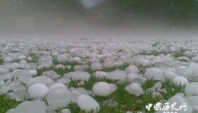 冰雹形成的条件及其带来的危害