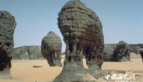 中国荒漠化的类型及采取的防治措施