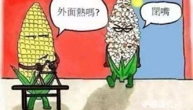 三大火炉是哪三座城市 为什么称之为火炉