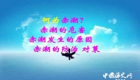 赤潮形成的原因与产生的危害 怎样去防治赤潮