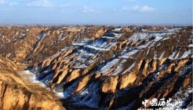 黄河流域地貌特征：自西而东跨越三级阶梯