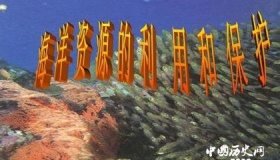 我国对于海洋资源是如何利用的