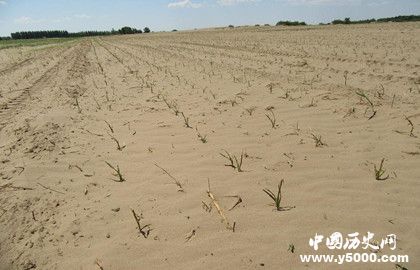 旱灾形成的原因与危害 防治旱灾的措施有哪些