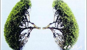 地球之肺——森林被破坏的后果 怎样保护地球之肺