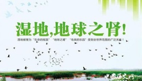 地球之肾——湿地的功能有哪些