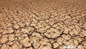 旱灾形成的原因与危害 防治旱灾的措施有哪些