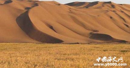 沙漠边种海水稻_沙漠海水稻是什么