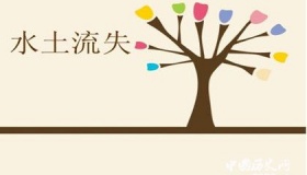 水土流失的原因与危害 水土流失的治理措施